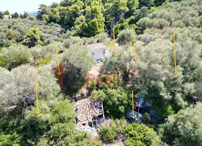 Image No.51-Propriété de 1 chambre à vendre à Skopelos