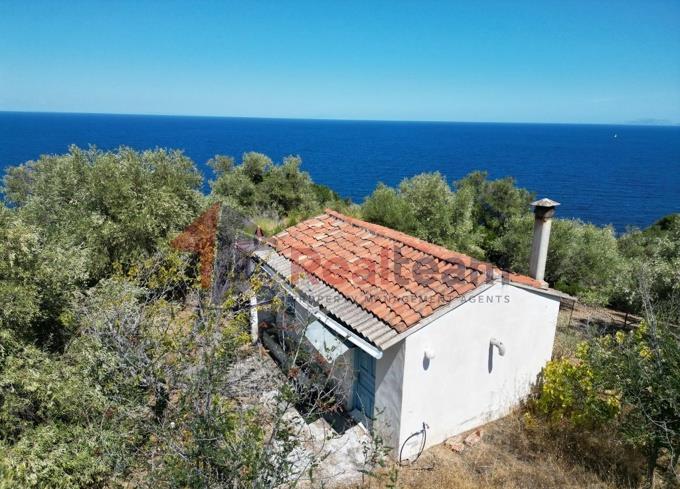 Image No.36-Propriété de 1 chambre à vendre à Skopelos