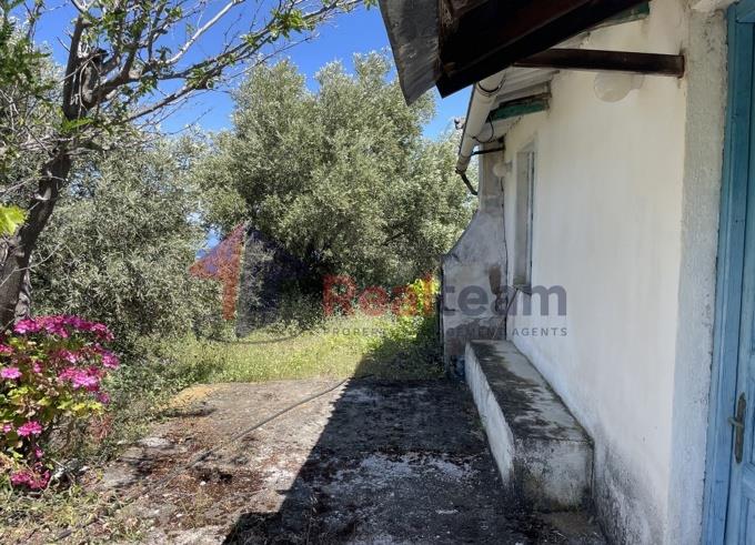 Image No.52-Propriété de 1 chambre à vendre à Skopelos