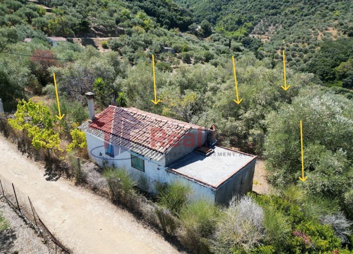 Image No.12-Propriété de 1 chambre à vendre à Skopelos