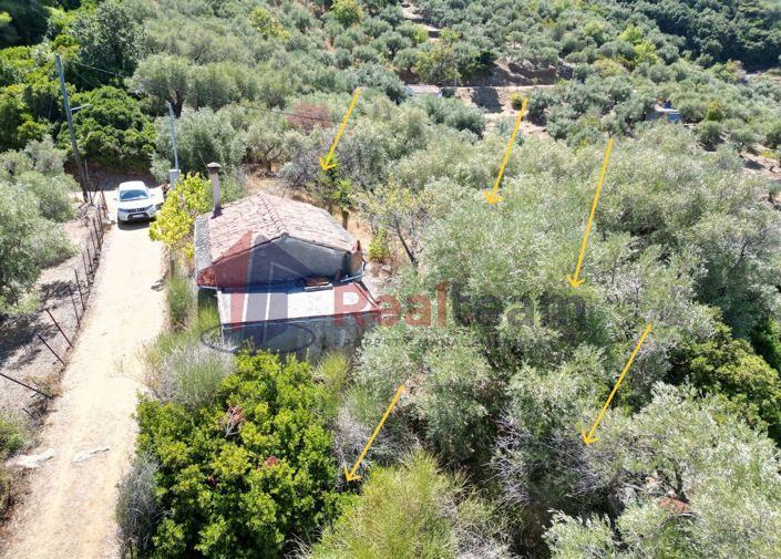Image No.13-Propriété de 1 chambre à vendre à Skopelos