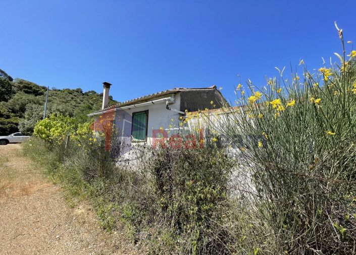 Image No.20-Propriété de 1 chambre à vendre à Skopelos