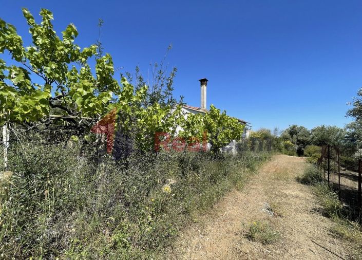 Image No.21-Propriété de 1 chambre à vendre à Skopelos