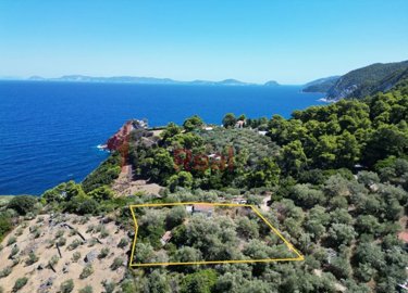 6813b85f36004403b87238d224b4d272