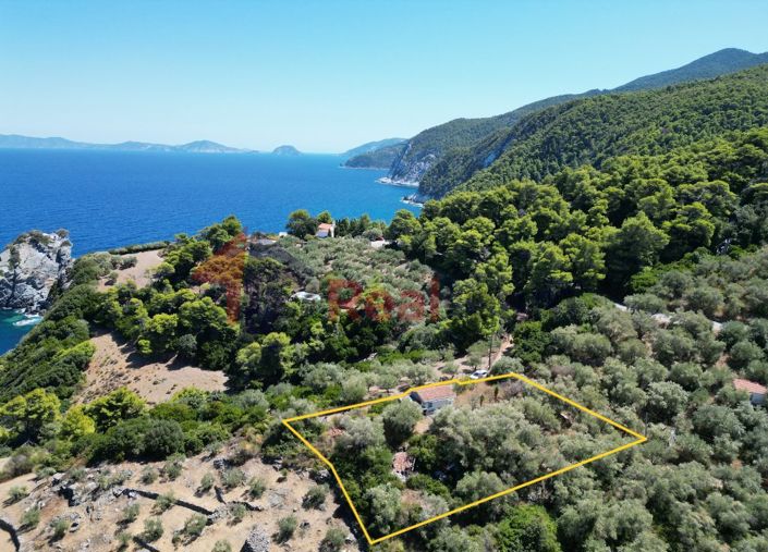 Image No.5-Propriété de 1 chambre à vendre à Skopelos