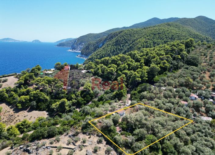 Image No.6-Propriété de 1 chambre à vendre à Skopelos