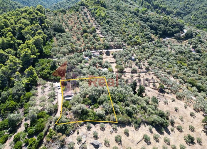 Image No.7-Propriété de 1 chambre à vendre à Skopelos