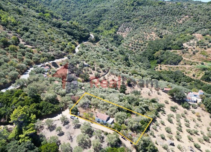 Image No.8-Propriété de 1 chambre à vendre à Skopelos