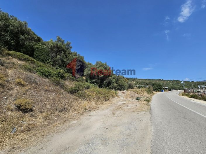 Image No.10-Propriété à vendre à Pelasgia