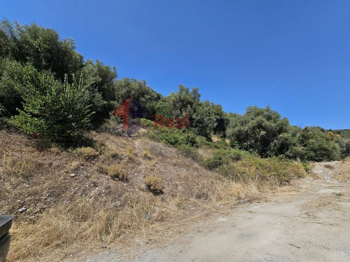 Image No.11-Propriété à vendre à Pelasgia