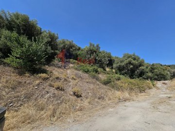 691a32e6220841b2aaa6e7194905fccf