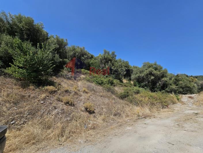 Image No.41-Propriété à vendre à Pelasgia