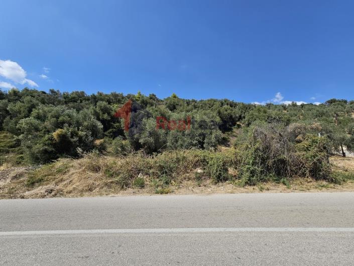 Image No.46-Propriété à vendre à Pelasgia