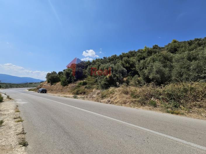 Image No.44-Propriété à vendre à Pelasgia