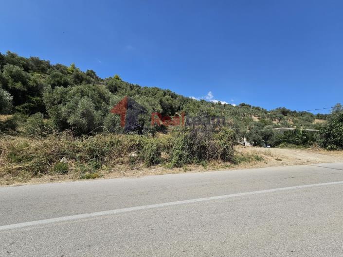 Image No.50-Propriété à vendre à Pelasgia