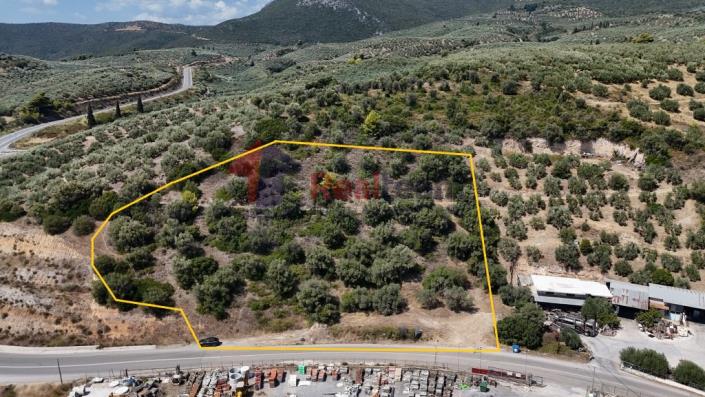 Image No.30-Propriété à vendre à Pelasgia