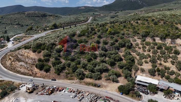 Image No.38-Propriété à vendre à Pelasgia