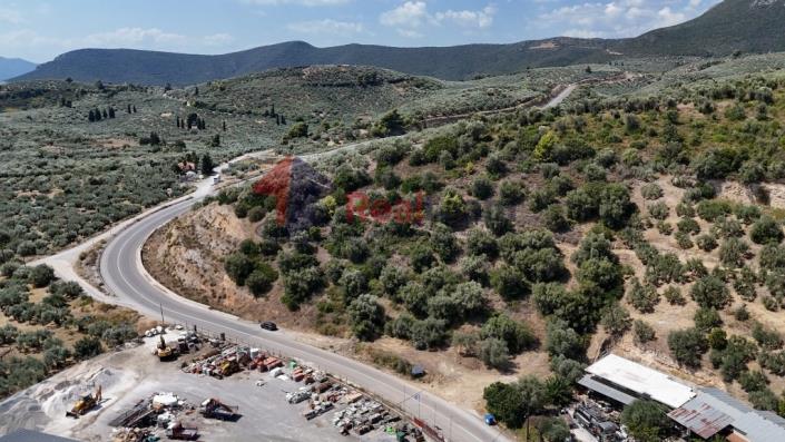 Image No.43-Propriété à vendre à Pelasgia