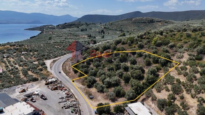 Image No.28-Propriété à vendre à Pelasgia