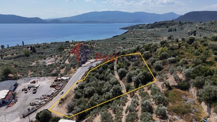 Image No.42-Propriété à vendre à Pelasgia