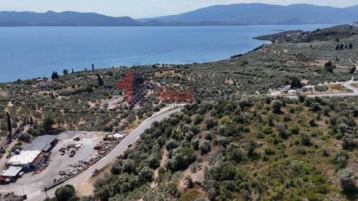 Image No.27-Propriété à vendre à Pelasgia