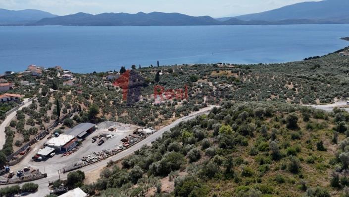 Image No.33-Propriété à vendre à Pelasgia