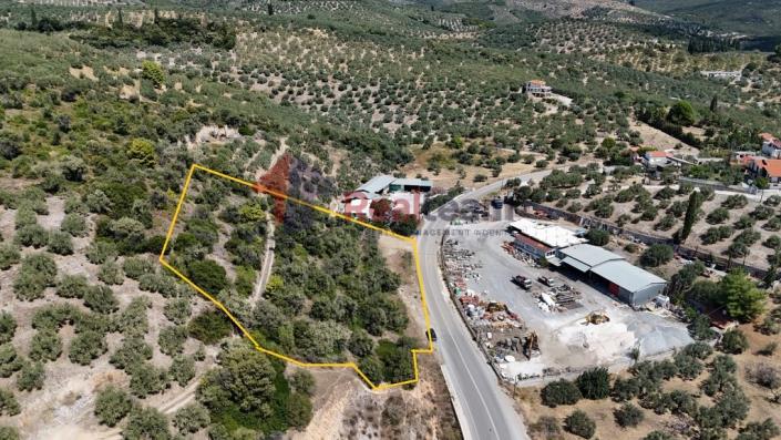 Image No.26-Propriété à vendre à Pelasgia