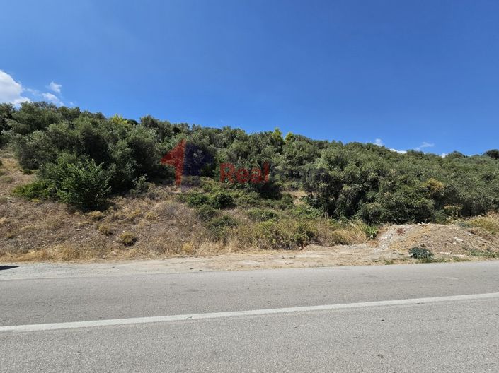 Image No.12-Propriété à vendre à Pelasgia