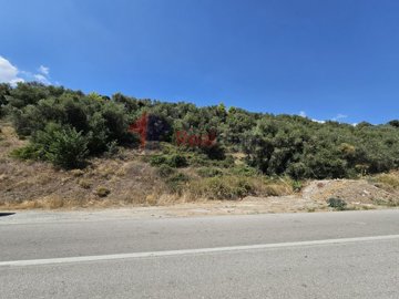 701678896125449fba16a0c3708503d5