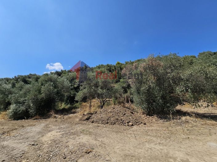 Image No.13-Propriété à vendre à Pelasgia