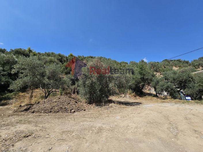 Image No.14-Propriété à vendre à Pelasgia