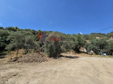 90a1500011414733a4ba3f5424c47725