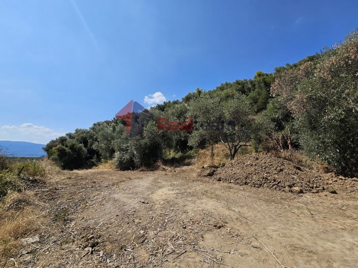 Image No.15-Propriété à vendre à Pelasgia