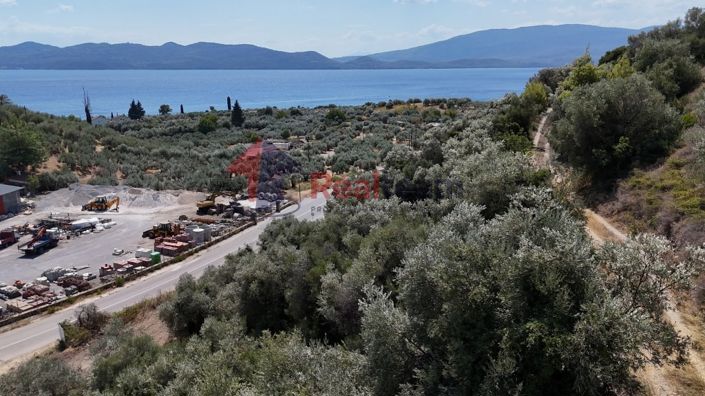 Image No.17-Propriété à vendre à Pelasgia