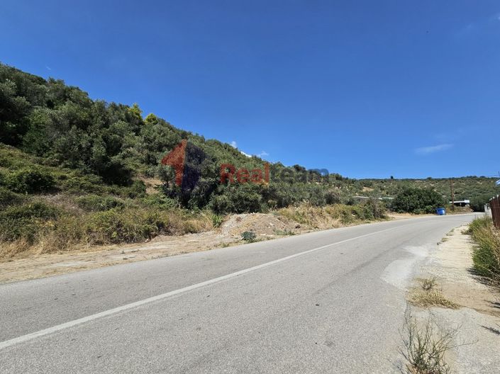 Image No.19-Propriété à vendre à Pelasgia