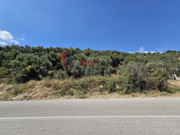 Image No.20-Propriété à vendre à Pelasgia