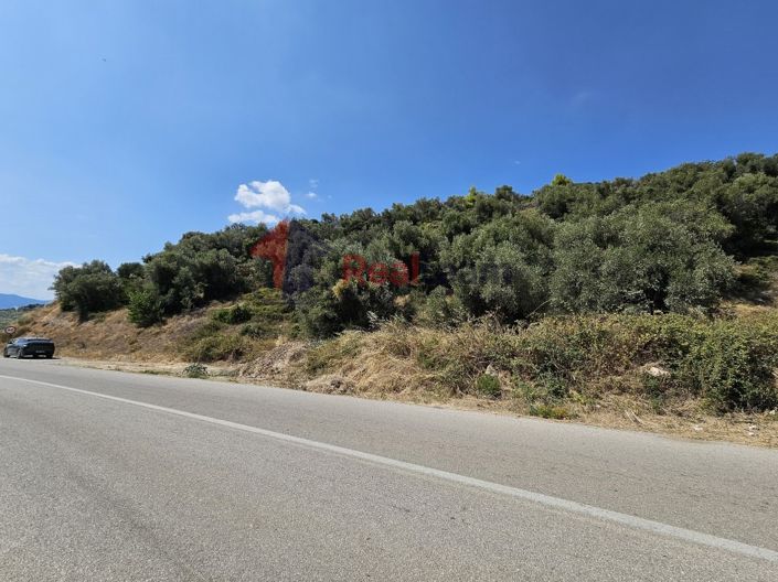 Image No.22-Propriété à vendre à Pelasgia