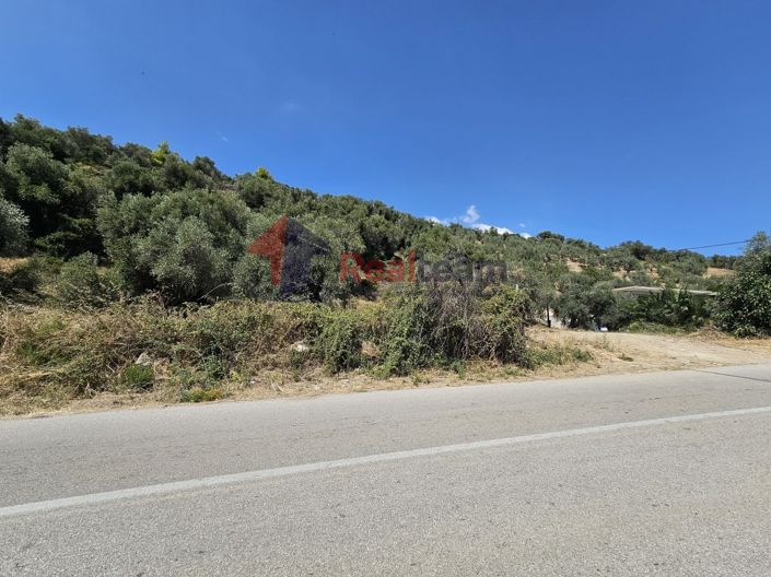 Image No.23-Propriété à vendre à Pelasgia