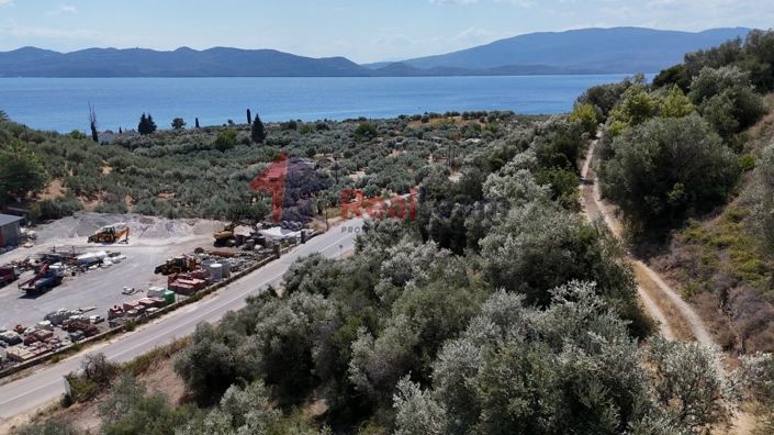 Image No.25-Propriété à vendre à Pelasgia