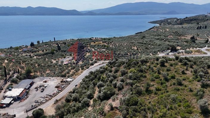 Image No.3-Propriété à vendre à Pelasgia