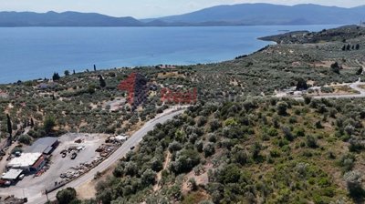 69cee34bc8d74dc5b27e94350e0c88f0