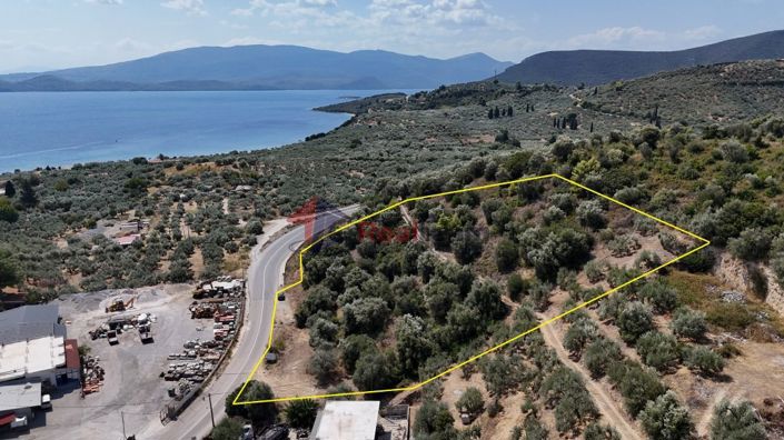 Image No.4-Propriété à vendre à Pelasgia