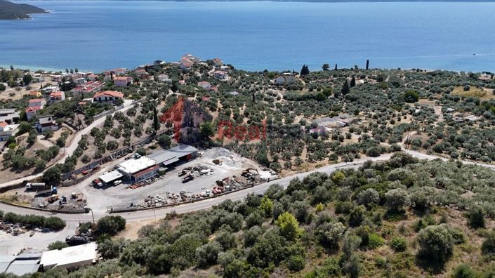 Image No.6-Propriété à vendre à Pelasgia