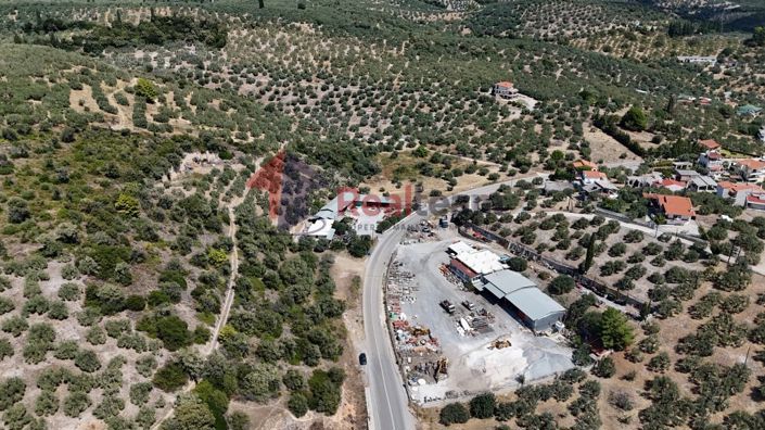 Image No.7-Propriété à vendre à Pelasgia