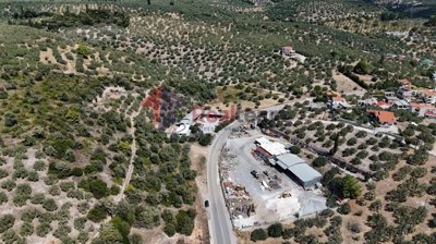 f678b7c810f9443991d8a2ff3a211817