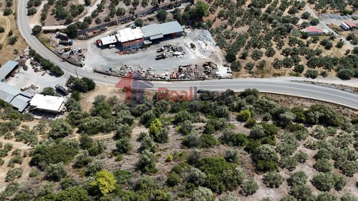 Image No.8-Propriété à vendre à Pelasgia