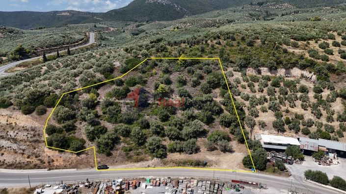 Image No.9-Propriété à vendre à Pelasgia