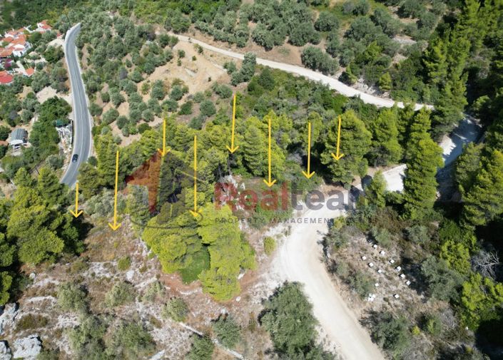 Image No.10-Propriété à vendre à Skopelos