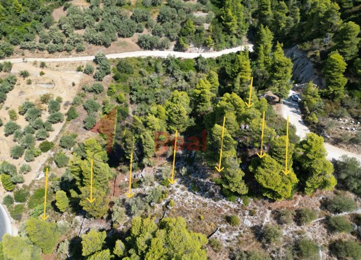 Image No.11-Propriété à vendre à Skopelos