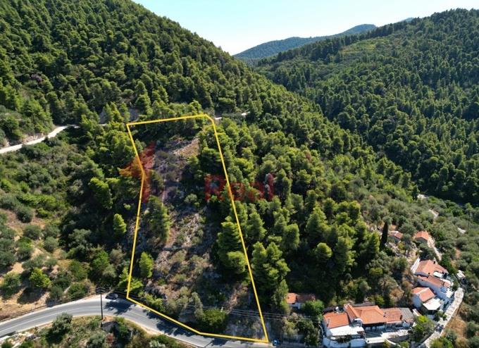 Image No.28-Propriété à vendre à Skopelos